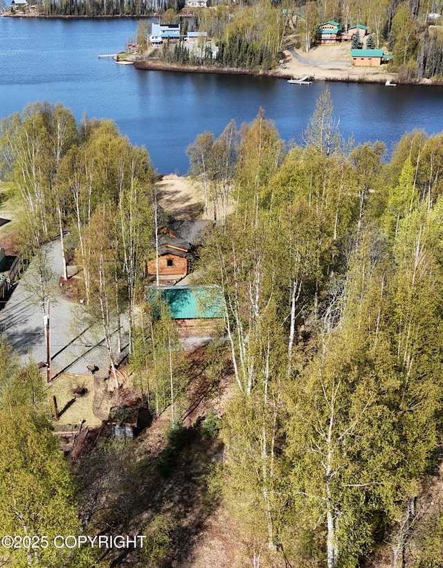 aerial view of a large body of water