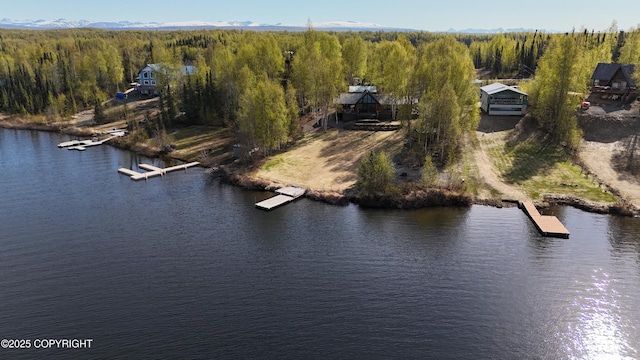 aerial view of a forest and a nearby body of water