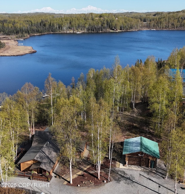 water view with a forest