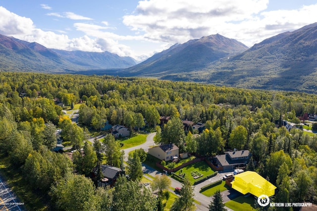 19426 Pribilof Loop, Eagle River, AK 99577 - drone / aerial view of a forest and a mountainous background