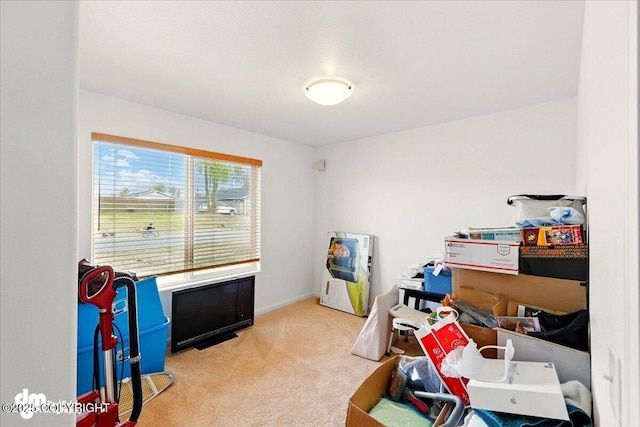 273 S Legacy Loop, Soldotna, AK 99669 - view of storage area