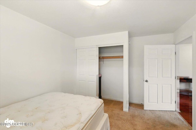 273 S Legacy Loop, Soldotna, AK 99669 - bedroom featuring light colored carpet and a closet