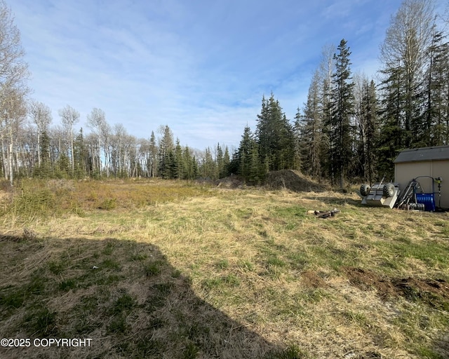 view of yard with a forest view