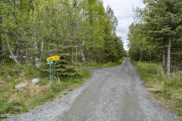 2840 N Kroenung Rd, Palmer, AK 99645 - photo 58