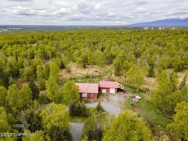 2840 N Kroenung Rd, Palmer, AK 99645 - photo 59
