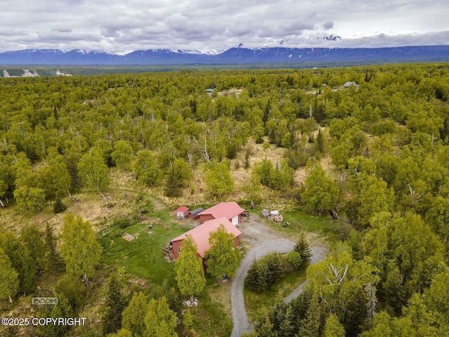 2840 N Kroenung Rd, Palmer, AK 99645 - photo 65