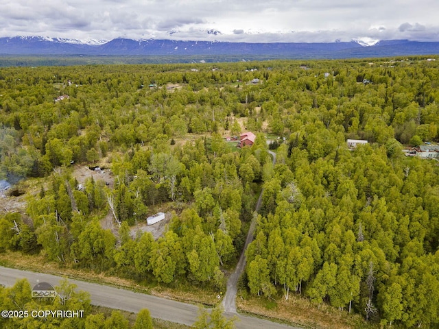 2840 N Kroenung Rd, Palmer, AK 99645 - photo 73
