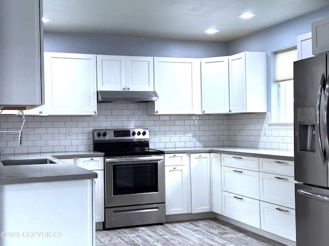 2321 Selief Ln, Kodiak, AK 99615 - kitchen featuring appliances with stainless steel finishes, under cabinet range hood, a sink, light wood-style floors, and white cabinets