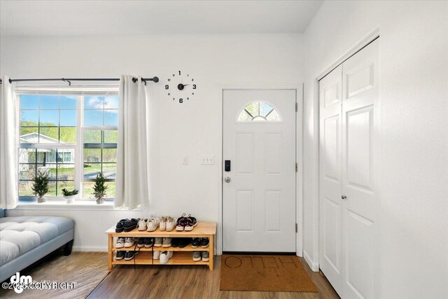 6744 Bogle Bluff Dr, Wasilla, AK 99623 - entryway featuring wood finished floors and baseboards