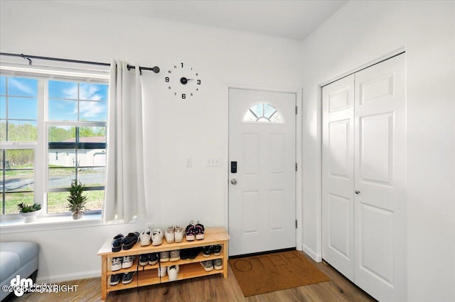 6744 Bogle Bluff Dr, Wasilla, AK 99623 - foyer with wood finished floors and baseboards