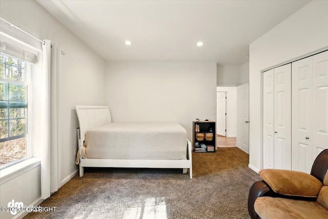 6744 Bogle Bluff Dr, Wasilla, AK 99623 - bedroom with carpet floors, a closet, baseboards, and recessed lighting