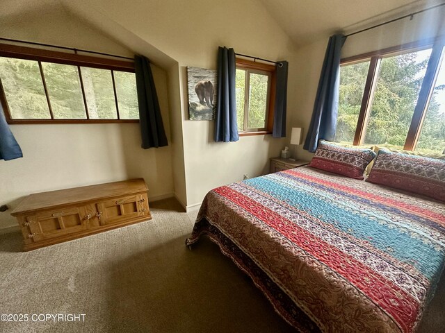 1581 Jade Dr, Homer, AK 99603 - carpeted bedroom featuring vaulted ceiling and baseboards
