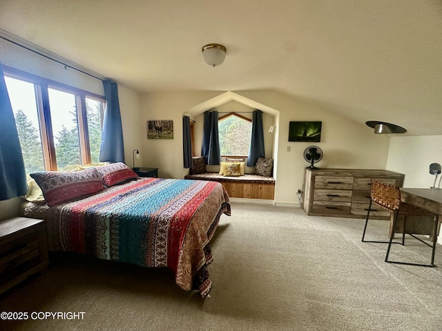 1581 Jade Dr, Homer, AK 99603 - carpeted bedroom with vaulted ceiling