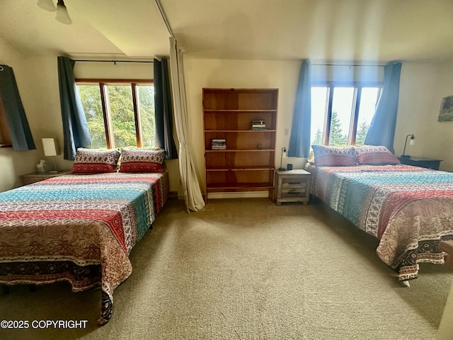 1581 Jade Dr, Homer, AK 99603 - bedroom with carpet flooring and multiple windows