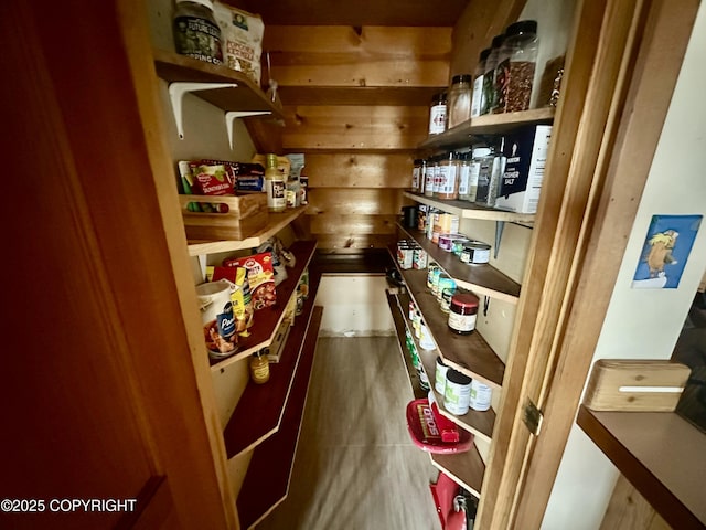 1581 Jade Dr, Homer, AK 99603 - view of pantry