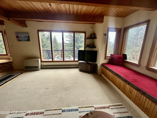 1581 Jade Dr, Homer, AK 99603 - carpeted living room with a baseboard radiator, plenty of natural light, and wood ceiling with exposed beams
