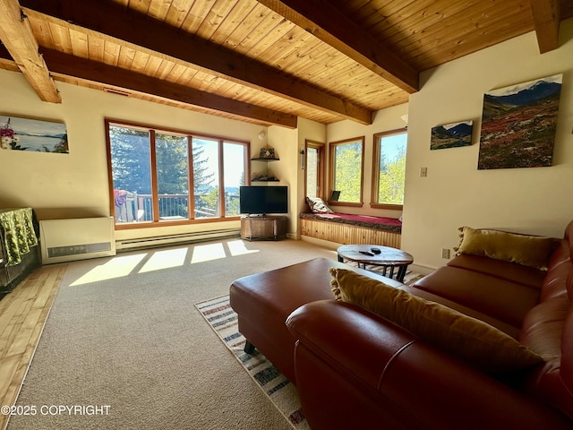 1581 Jade Dr, Homer, AK 99603 - living room with a baseboard radiator, wooden ceiling with exposed beams, and wood finished floors