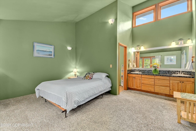 26266 Vallihi Cir, Eagle River, AK 99577 - bedroom with light colored carpet, a sink, and a high ceiling