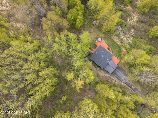 26266 Vallihi Cir, Eagle River, AK 99577 - view of subject property