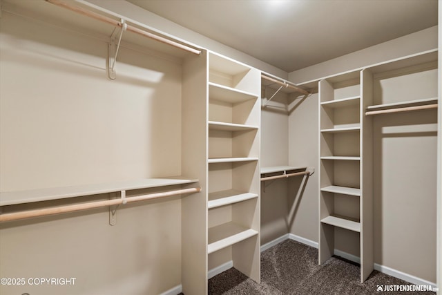 1473 Shallow Pool Dr # J1, Anchorage, AK 99504 - walk in closet with dark colored carpet