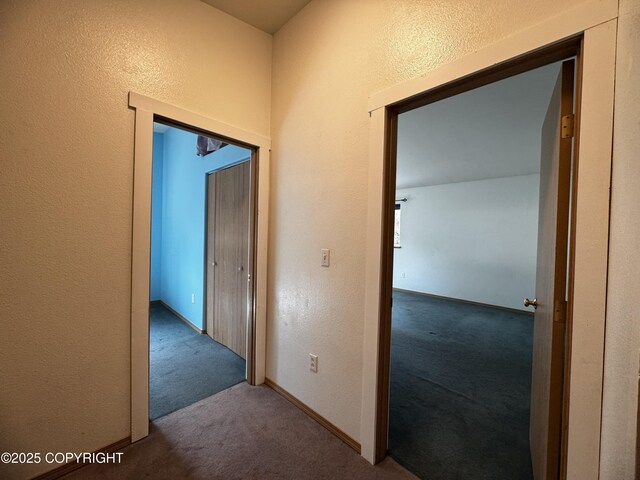 33325 Vinewood Ln, Seward, AK 99664 - corridor with carpet flooring and a textured wall