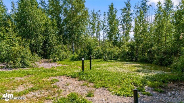 14184 W Jojoba Rd, Big Lake, AK 99623 - view of yard