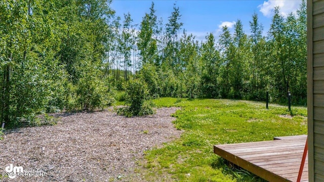 14184 W Jojoba Rd, Big Lake, AK 99623 - view of yard