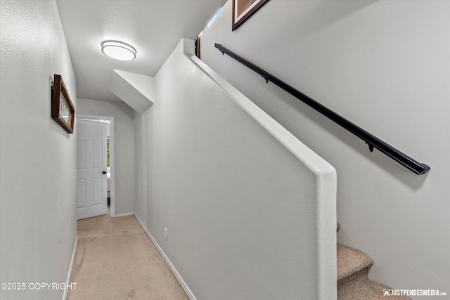 stairs featuring carpet flooring and baseboards