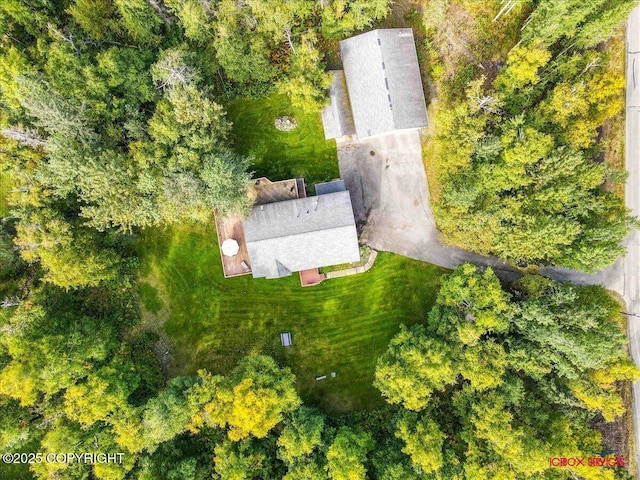 2750 E Whispering Woods Dr, Wasilla, AK 99654 - aerial view of property and surrounding area