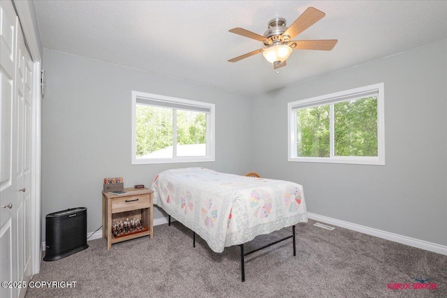 2750 E Whispering Woods Dr, Wasilla, AK 99654 - bedroom featuring multiple windows, carpet flooring, and baseboards