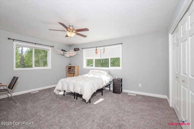 2750 E Whispering Woods Dr, Wasilla, AK 99654 - bedroom featuring a closet, carpet, multiple windows, and a textured ceiling