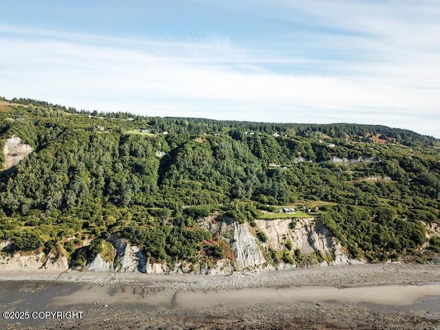 2580 Rene Ct, Homer, AK 99603