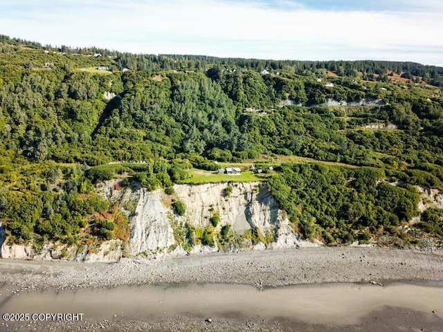 2580 Rene Ct, Homer, AK 99603