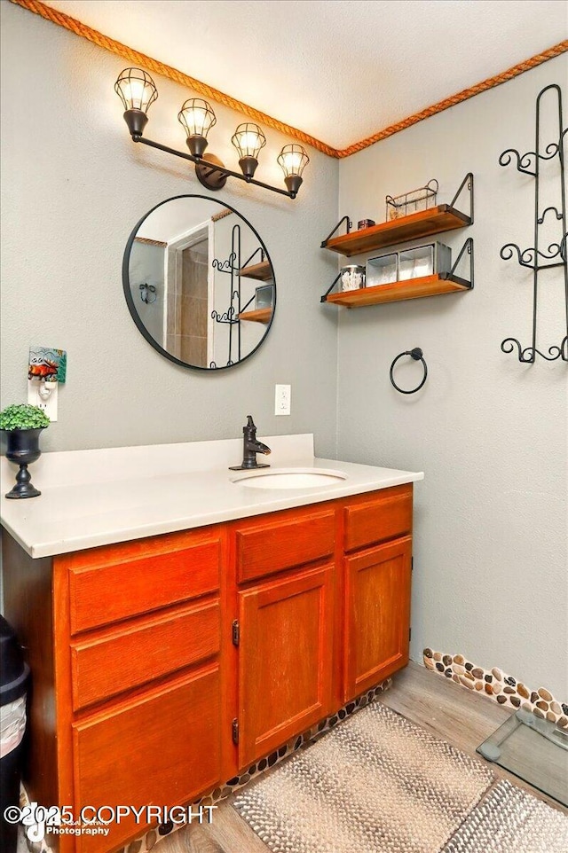 bathroom featuring wood finished floors and vanity