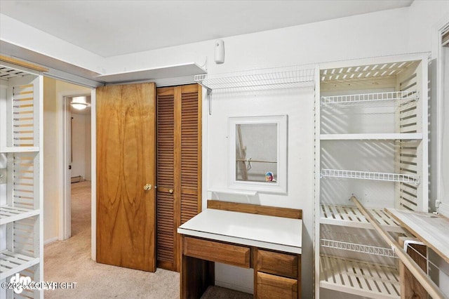 3337 Madison Way, Anchorage, AK 99508 - spacious closet featuring light carpet