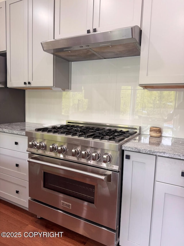 21675 Sheltering Spruce Loop, Chugiak, AK 99567 - kitchen with stainless steel stove, under cabinet range hood, backsplash, light stone counters, and white cabinets
