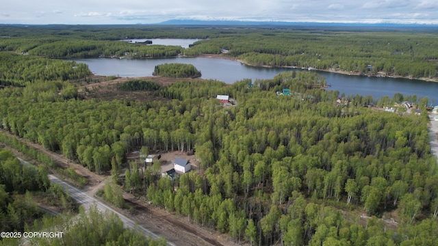 26155 W Long Lake Rd, Willow, AK 99688 - aerial view of property and surrounding area with a forest and a large body of water