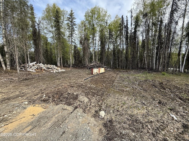 26155 W Long Lake Rd, Willow, AK 99688 - view of yard