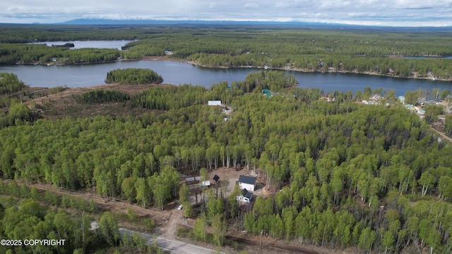 26155 W Long Lake Rd, Willow, AK 99688 - aerial overview of property's location with a forest and a large body of water