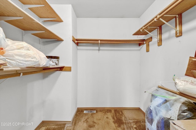 walk in closet featuring carpet