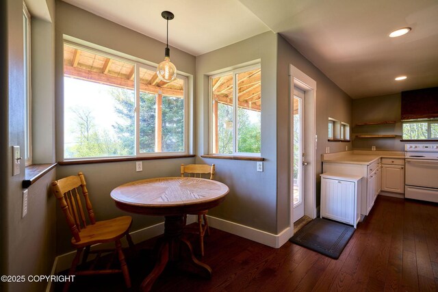 3625 W Hill Rd, Homer, AK 99603 - dining room featuring dark wood-style flooring, baseboards, and recessed lighting