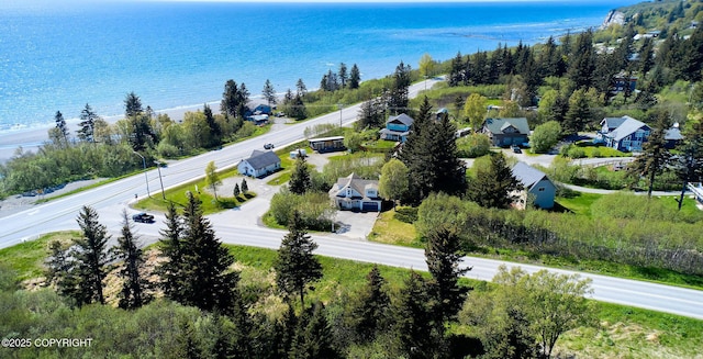 3625 W Hill Rd, Homer, AK 99603 - aerial perspective of suburban area with a nearby body of water
