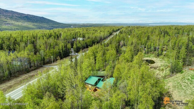 20811 Eagle River Rd, Eagle River, AK 99577 - bird's eye view of a forest and a mountainous background