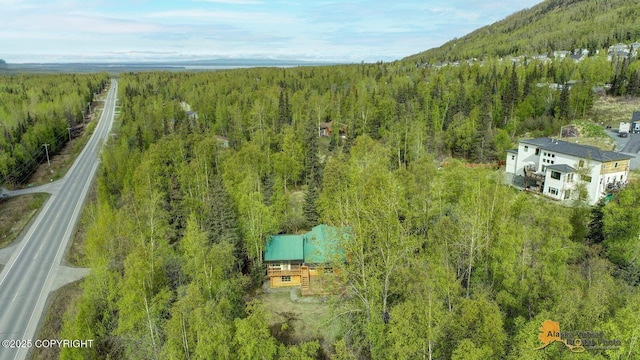 20811 Eagle River Rd, Eagle River, AK 99577 - drone / aerial view of a forest