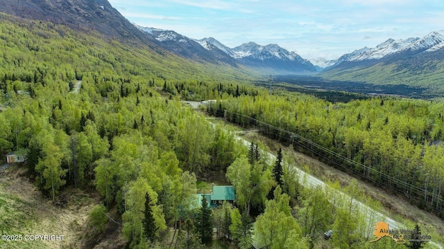 20811 Eagle River Rd, Eagle River, AK 99577 - view of mountain backdrop with a forest