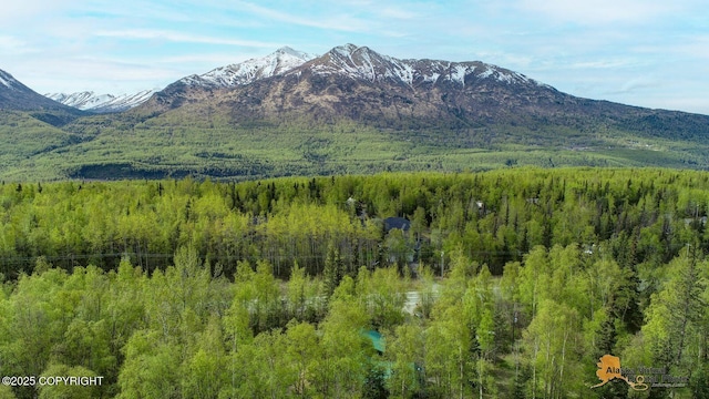 20811 Eagle River Rd, Eagle River, AK 99577 - view of mountain background featuring a heavily wooded area
