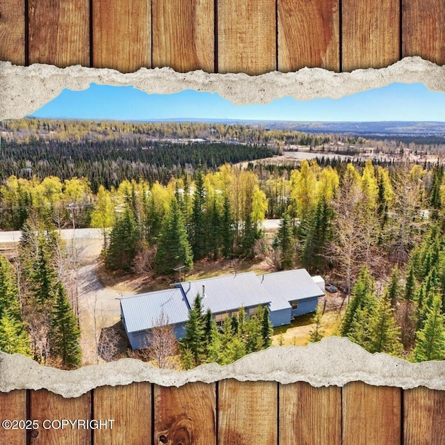 36115 Mackey Lake Rd, Soldotna, AK 99669 - photo 1
