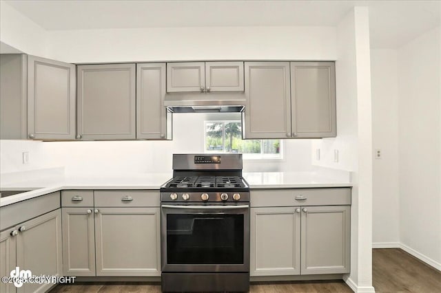 961 E Dellwood St, Wasilla, AK 99654 - kitchen with stainless steel gas stove, gray cabinets, under cabinet range hood, dark wood-style flooring, and light countertops