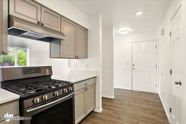 961 E Dellwood St, Wasilla, AK 99654 - kitchen with gas range, under cabinet range hood, wood finished floors, light countertops, and baseboards
