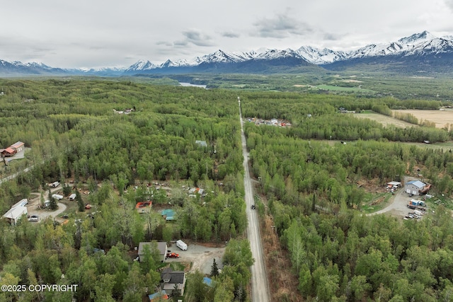 drone / aerial view of mountains and a forest